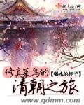 修真菜鳥的清朝之旅
